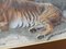 Fred Thomas Smith, A Recumbent Tiger Wildlife, 1898, Watercolor & Glass & Gold & Paper, Framed 6