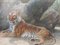 Fred Thomas Smith, A Recumbent Tiger Wildlife, 1898, Watercolor & Glass & Gold & Paper, Framed, Image 10