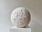 White Crust Sphere by Laura Pasquino, Image 5