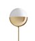Brass Floor Lamp 01 Dimmable 160 by Magic Circus Editions 2