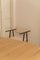 Object 058 Chairs by Ng Design, Set of 4 11