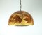 Vintage Pendant Lamp in Resin with Maple Leaves, 1970s 1