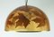 Vintage Pendant Lamp in Resin with Maple Leaves, 1970s 4