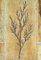 Mesa de centro Vallauris de arenisca Colección Les Herbiers de Roger Capron, años 60, Imagen 9