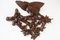 Schweizer Black Forest Eagle Garderobe aus Nussholz, 1880er 10