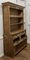 19th Century Irish Rustic Pine Chicken Hutch Dresser 4