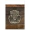 Baúl de madera y cuero del siglo XX de TP Ferrier, Imagen 6