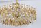 Large Gilt Brass and Crystal Chandelier attributed to Palwa, Germany, 1970s 4