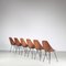 Medea Chairs by Vittorio Nobili for Tagliabue, Italy, 1950s, Set of 6 3