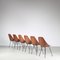 Medea Chairs by Vittorio Nobili for Tagliabue, Italy, 1950s, Set of 6, Image 3