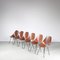 Medea Chairs by Vittorio Nobili for Tagliabue, Italy, 1950s, Set of 6, Image 4