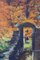 Día soleado de otoño, El jardín secreto, años 70, óleo sobre lienzo, Imagen 3