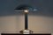 Art Deco Table Lamp by Napako, 1930s 8