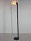 Italian Murano Glass and Metal Floor Lamp, 1970s 2