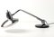 Chrome and Aluminium Desk Lamp from Fase, 1960s 6