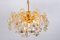 German Chandelier in Brass and Crystal Glass by Kinkeldey, 1970s 6