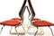 Pagholz Chairs by Elmar Flötto for Flötotto, 1970s, Set of 4, Image 5