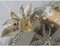 Venezianischer rechteckiger goldener Floreal Spiegel von Simoeng 7