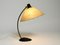 Large Mid-Century Modern Table Lamp with Fiberglass Shade, 1950s 15