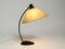 Large Mid-Century Modern Table Lamp with Fiberglass Shade, 1950s, Image 15