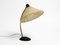Large Mid-Century Modern Table Lamp with Fiberglass Shade, 1950s 19