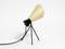 Mid-Century Modern Tripod Table Lamp by Josef Hurka for Napako, 1950s, Image 6