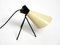 Mid-Century Modern Tripod Table Lamp by Josef Hurka for Napako, 1950s 17