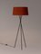 Terracotta Tripode G5 Floor Lamp by Santa & Cole 3