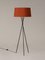 Terracotta Tripode G5 Floor Lamp by Santa & Cole 2