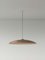 Large Brown Headhat Plate Pendant Lamp by Santa & Cole, Image 2