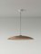 Large Brown Headhat Plate Pendant Lamp by Santa & Cole, Image 3