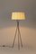 Diplomatic Tripod G5 Floor Lamp by Santa & Cole 3