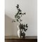 Vase Thesium par Cosmin Florea 2