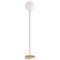 Brass 06 Floor Lamp 160 by Magic Circus Editions 1