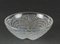 French Opalescent Scallop Bowl from Lalique 9
