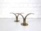 Mid-Century Scandinavian Lily Candleholders in Brass by Ivar Ålenius Björk for Ystad-Metall, Sweden, Set of 2 2