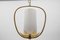 Mid-Century Modern Brass and Bubble Glass Pendant Lamp by Rupert Nikoll, Vienna, Austria, 1960s 4