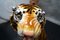 Großer handbemalter italienischer Tiger, 1970er 15