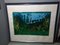 Mario Schifano, Landscape, 1970s, Color Lithograph, Framed 7