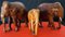 Elefanti in legno intagliato a mano, anni '60, set di 3, Immagine 2