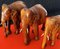 Elefanti in legno intagliato a mano, anni '60, set di 3, Immagine 10