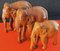 Elefanti in legno intagliato a mano, anni '60, set di 3, Immagine 11