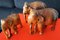 Hand-Carved Wooden Elephants, 1960s, Set of 3 9