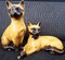 Siamese Cats Figurines, Set of 2 2