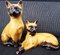 Statuette con gatti siamesi, set di 2, Immagine 2