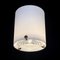 Mid-Century Modern Ceiling Lamp in Glass by Jean Perzel, 1950, Image 2