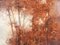 Paisaje de otoño, años 50, óleo sobre lienzo, enmarcado, Imagen 3