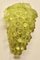 Murano Style Green Glass Grape Wall Light, 1920s 1