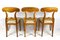 Biedermeier Nutwood Shovel Dining Chairs, 19th Century, Set of 6, Image 11