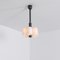 Odyssey 6 Black Pendant Light by Switching 2